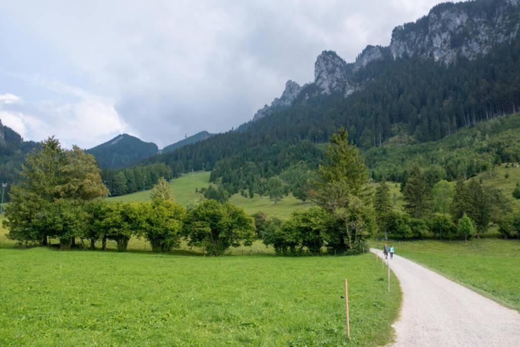 شقة Neuschwanstein-Blick Füssen المظهر الخارجي الصورة